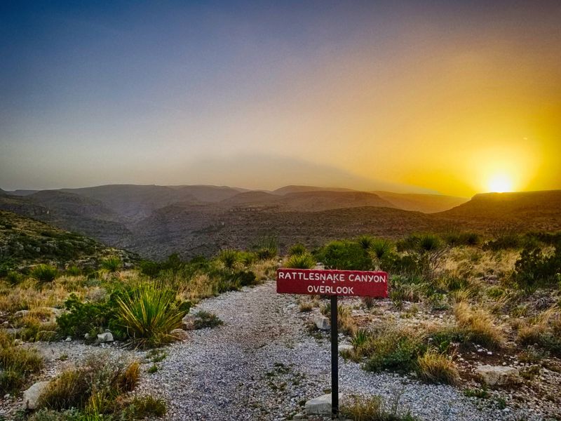 Stargaze After Dark on the Desert Rim