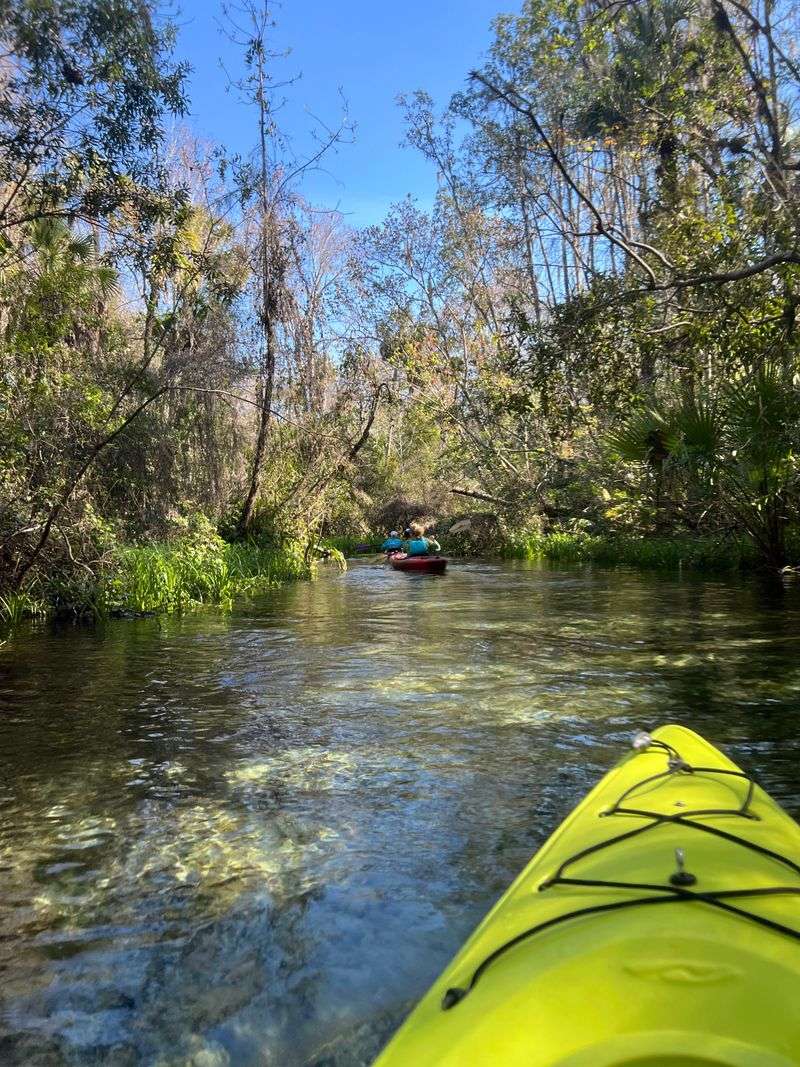 Kayaking the Spring Run
