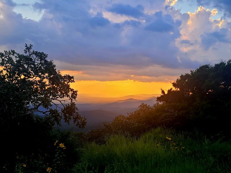Fall Foliage Spectacle