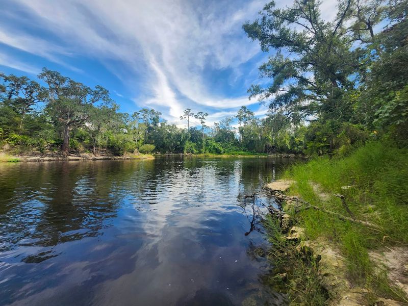 Wildlife You Might Spot Along the Trail