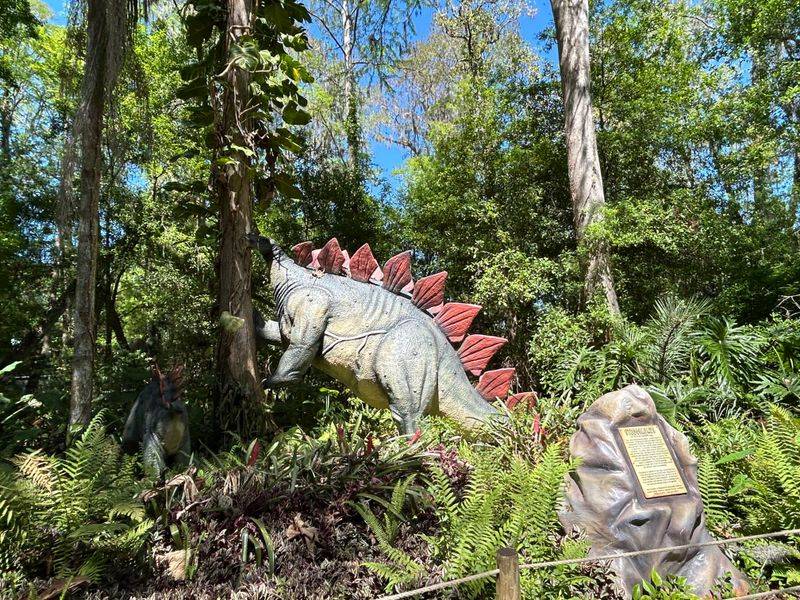 Stegosaurus Grove