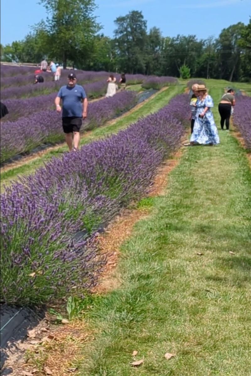 Walking Tours and Learning the Varieties