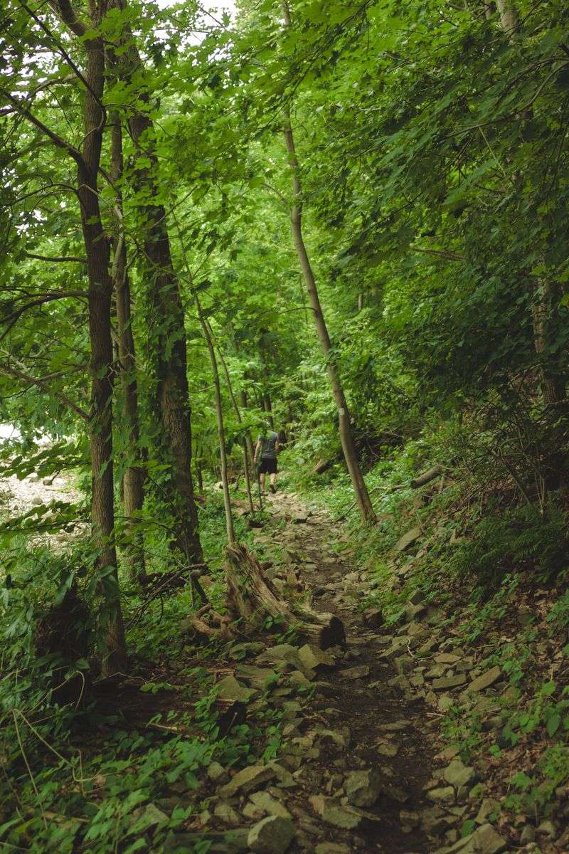 Seasonal Wildlife and Plants