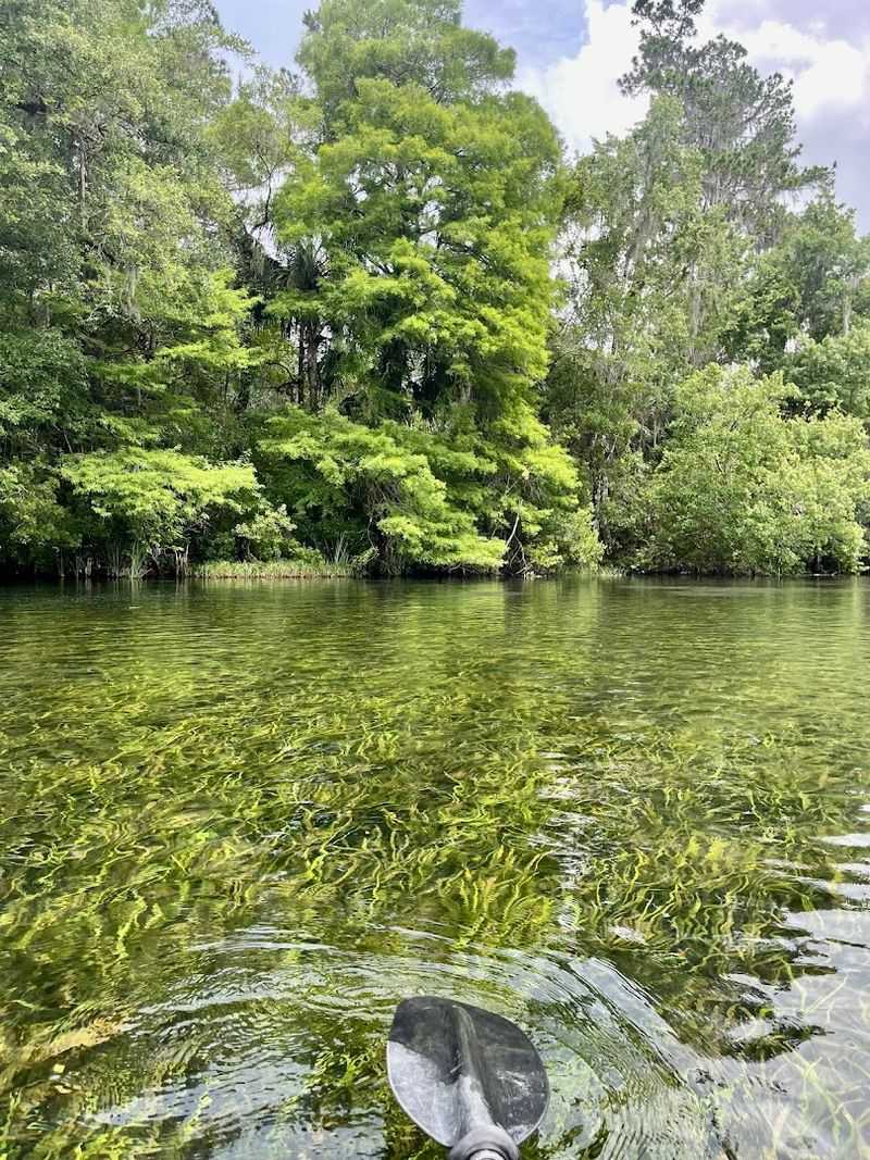 Best Time of Day for Clarity