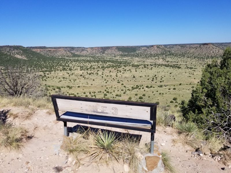 Wildlife Watching Opportunities