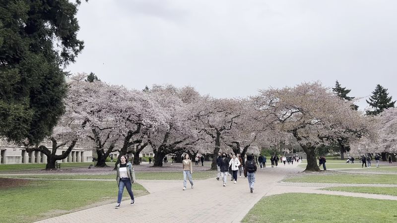 University of Washington — Seattle, Washington