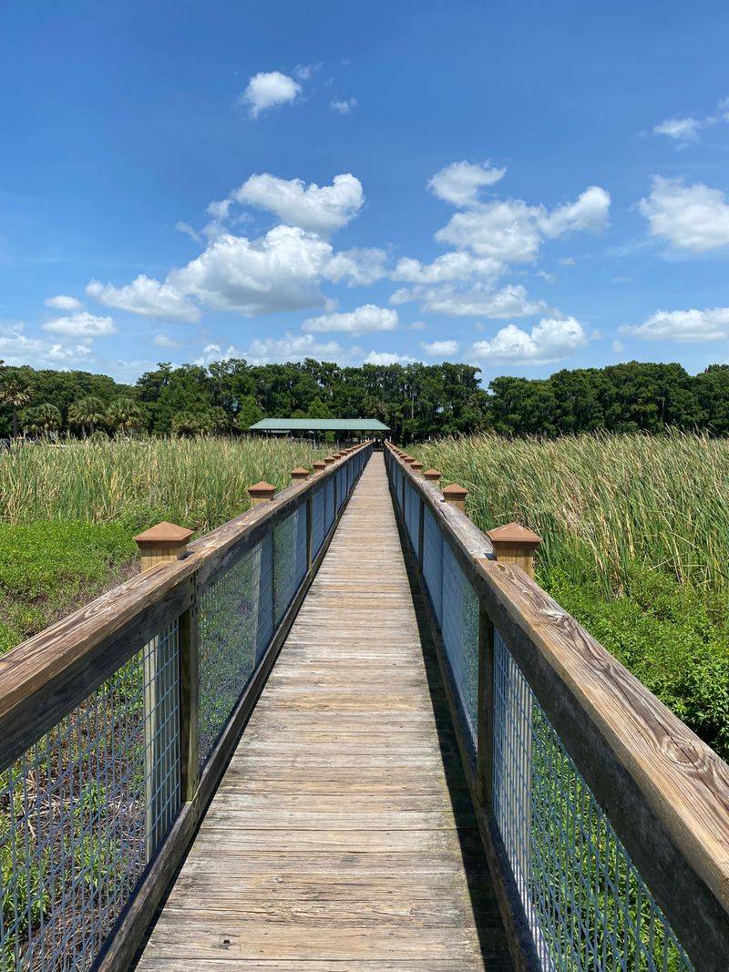 Accessibility and family friendly tips