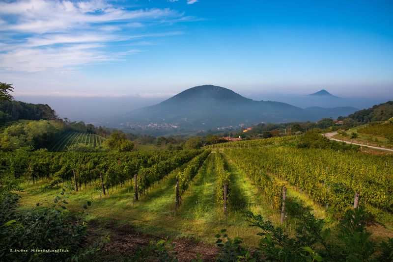 Euganean Hills — Volcanic Landscape & Spa Retreats