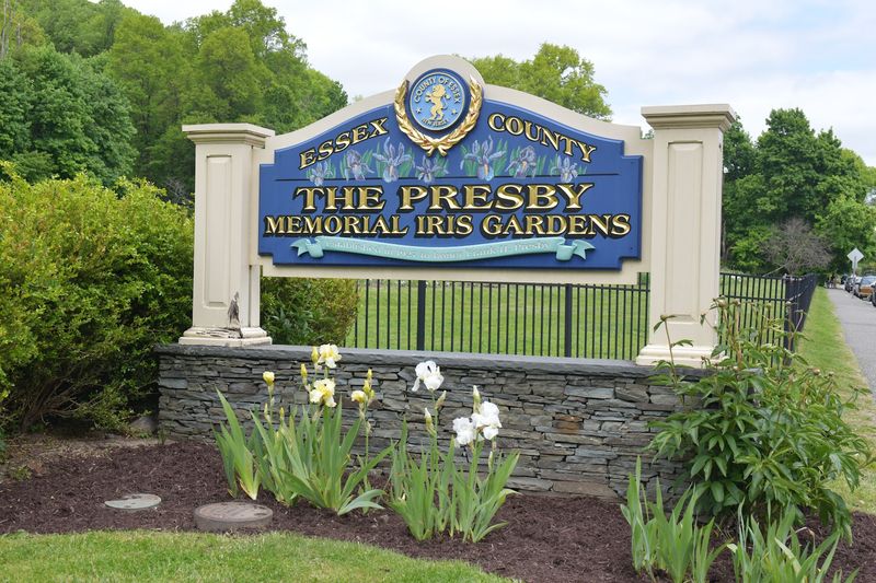 Presby Memorial Iris Gardens (Montclair)