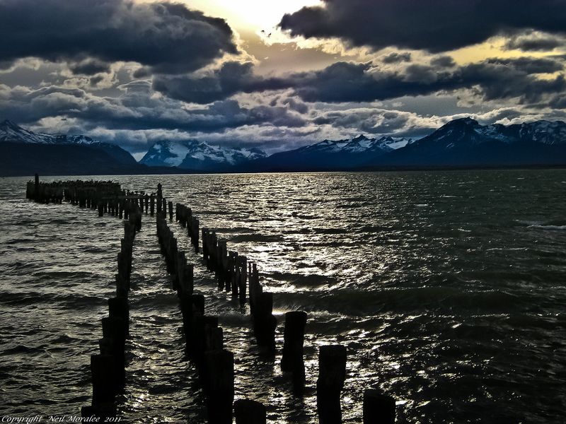 Wildlife Over Urbanization