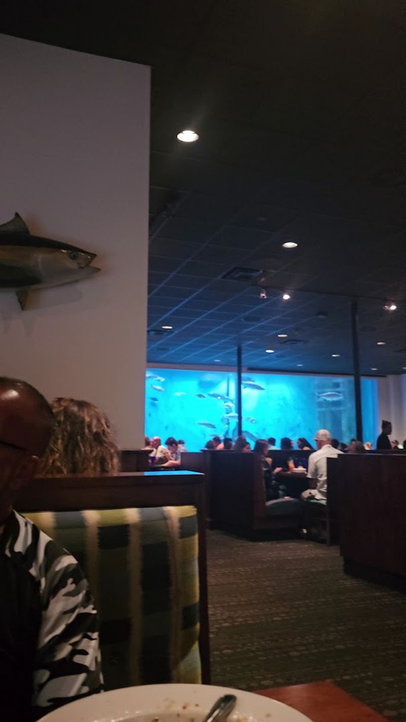 Nightly Entertainment and the Sports Bar Side