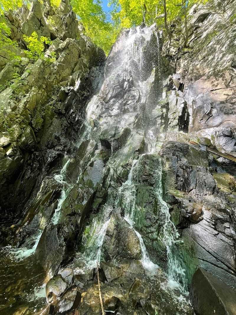 Wildlife and Natural Features Worth Watching For