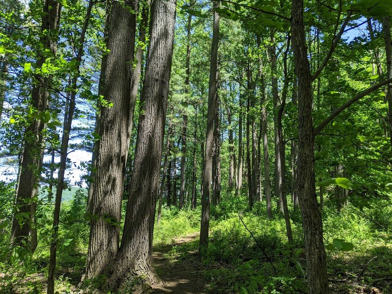 How Difficult Is This Hike, Really