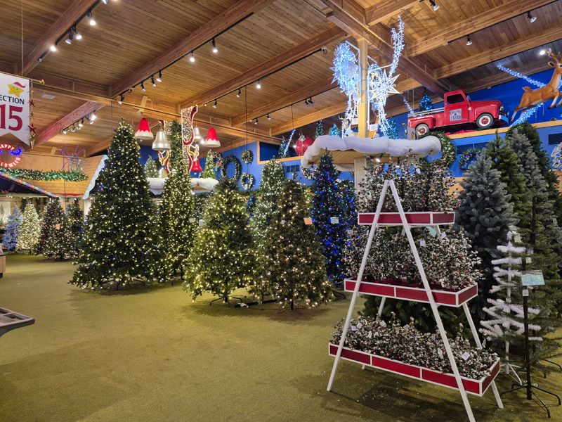 Trees, Lights, And The Science Of Glow