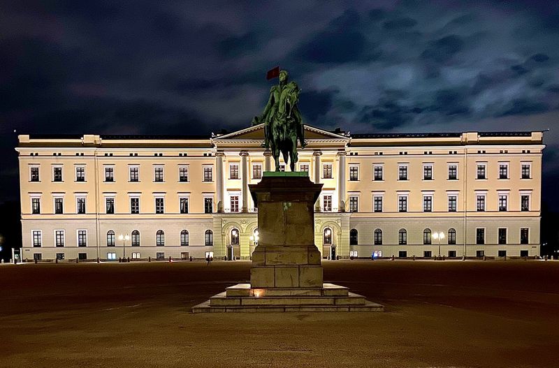 See the Royal Palace and Walk Karl Johans Gate
