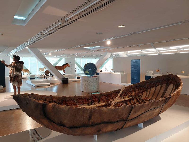 Step into Cosquer Méditerranée for prehistoric art under the sea, recreated