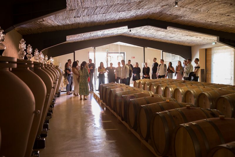 Taste Algarve Wines on Vineyard Tours