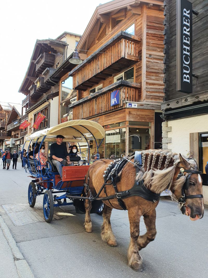 Horse-Drawn Carriage Rides Through Town