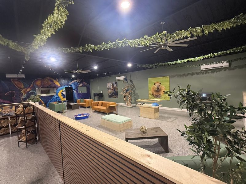 Celebrating Birthdays and Special Occasions Here