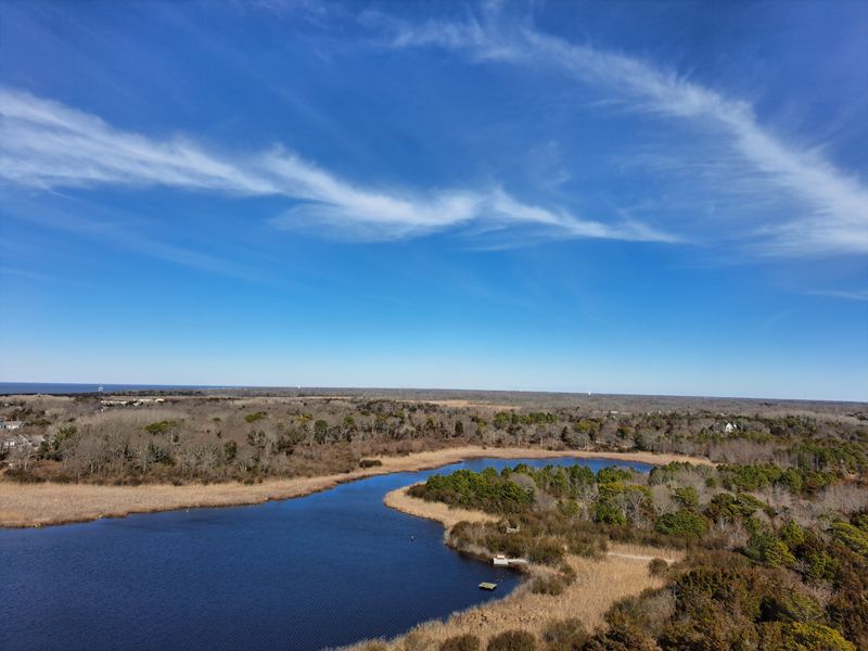 Picnic Spots and Practical Perks