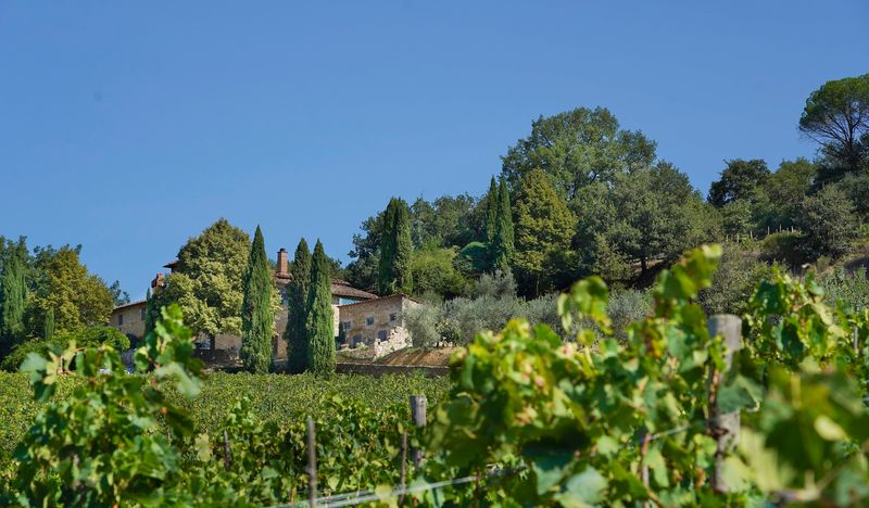 Greve in Chianti — Classic Wine Village with Olive Culture