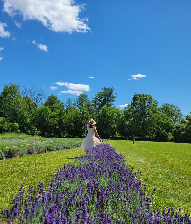 Honey, Bees, and Botanical Bonus