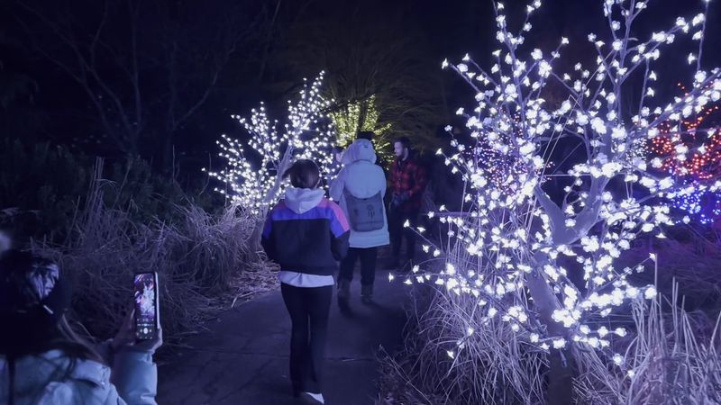 Practical Magic: Hours, Paths, and Small Moves That Change Everything