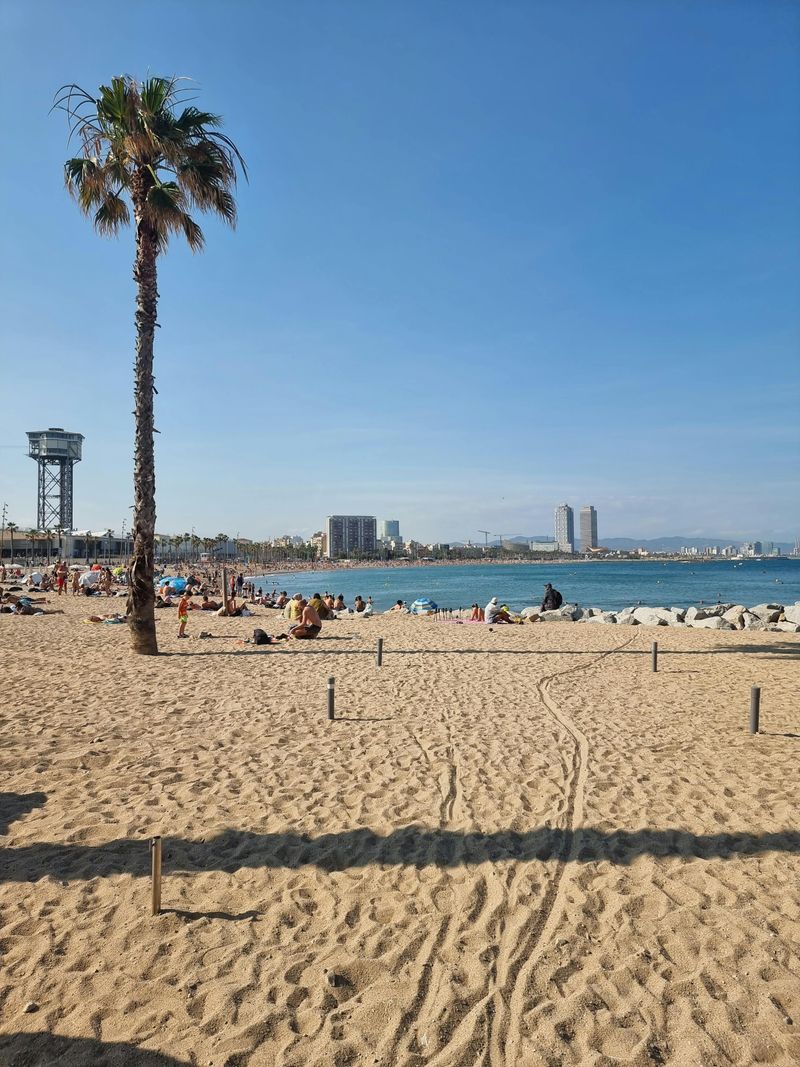 Relax on Barcelona's Beaches — Sun, Sea and City Vibes