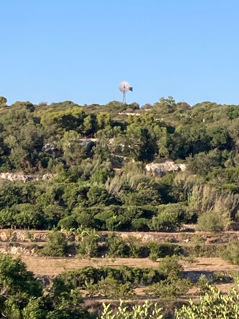 Escape into Buskett Gardens for a green reset