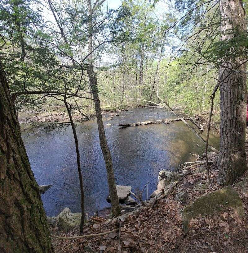 Hike Hacklebarney State Park for River-and-Woods Scenery