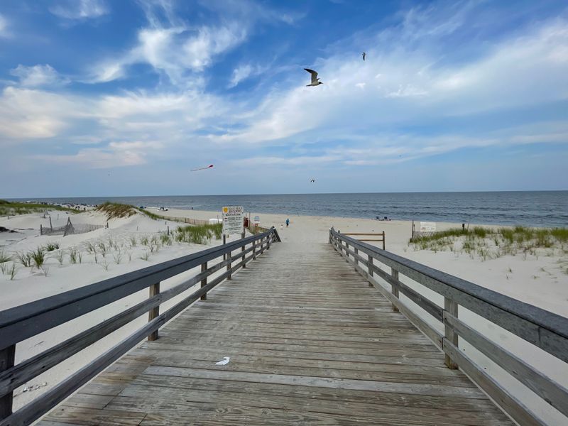 Bird Watching at the Platforms