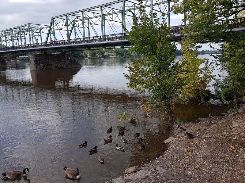 Birdwatching and Wildlife Along the River