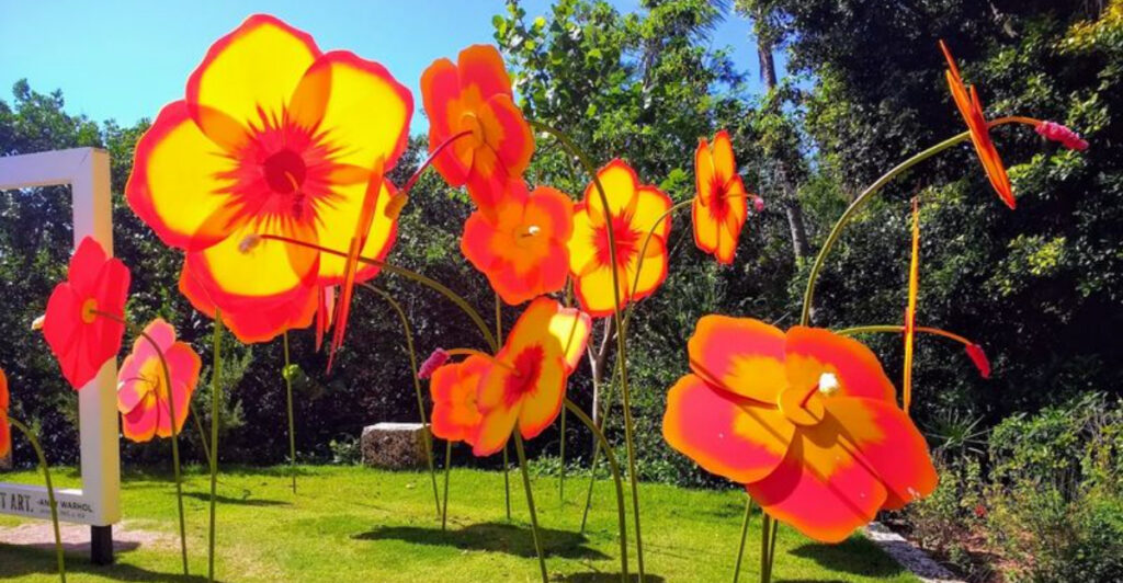 Wander Through Thousands Of Orchids At This Florida Garden
