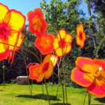 Wander Through Thousands Of Orchids At This Florida Garden