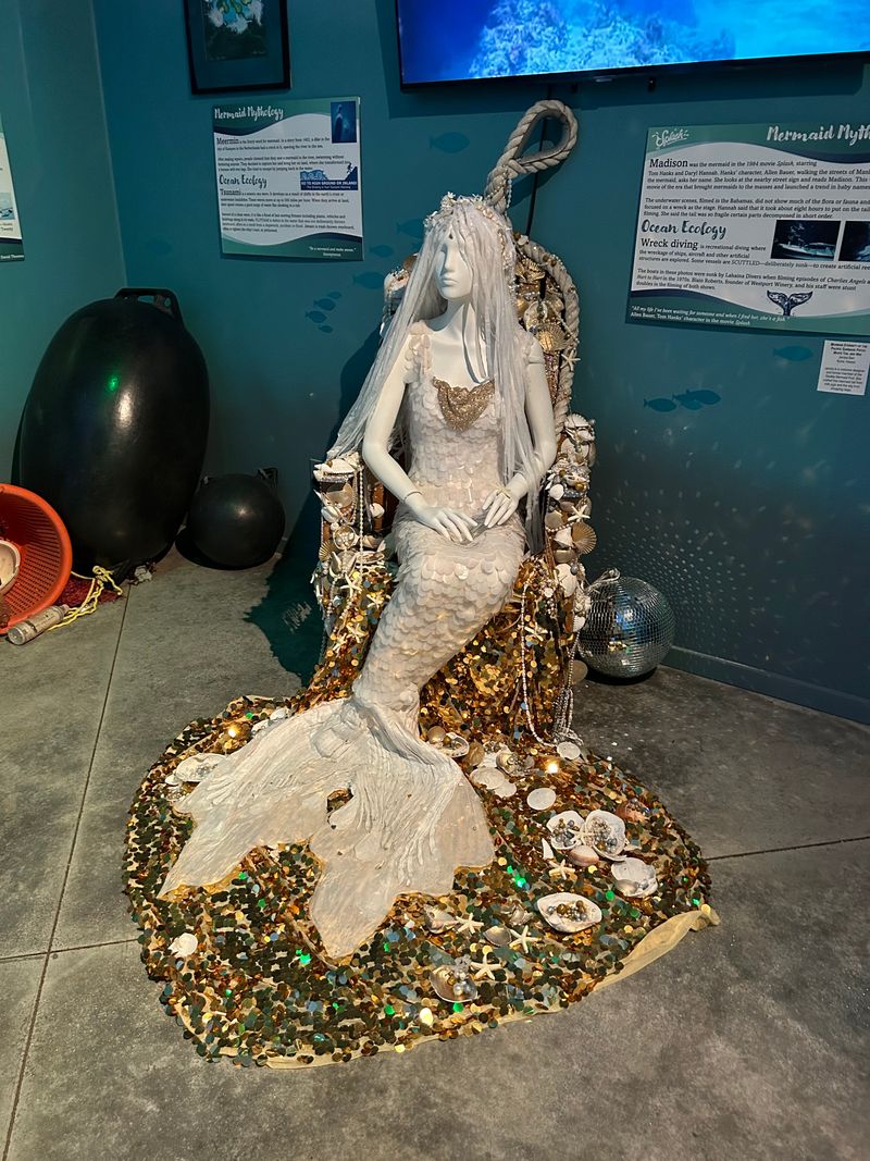 A Museum With a Mission: Ocean Ecology Through Mermaid Lore