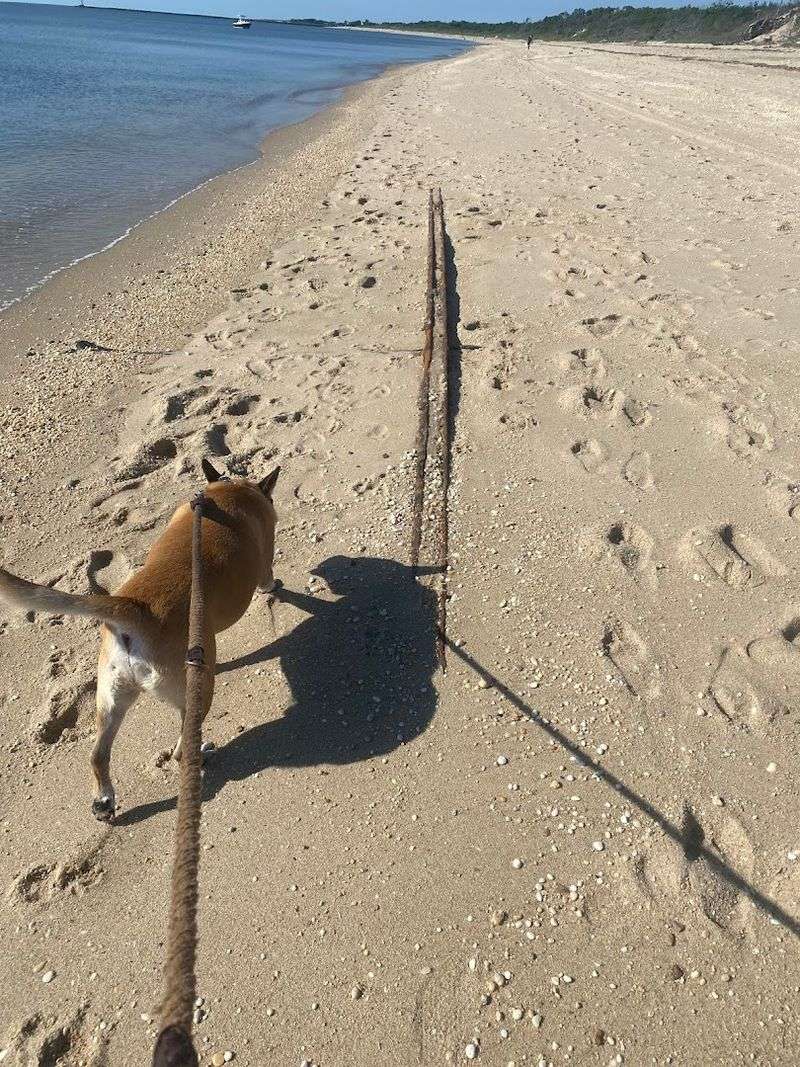 No Lifeguards, No Amenities, No Crowds