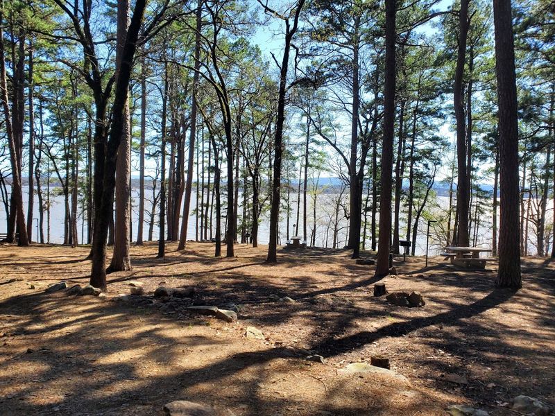 Trails That Don't Require Expert-Level Fitness