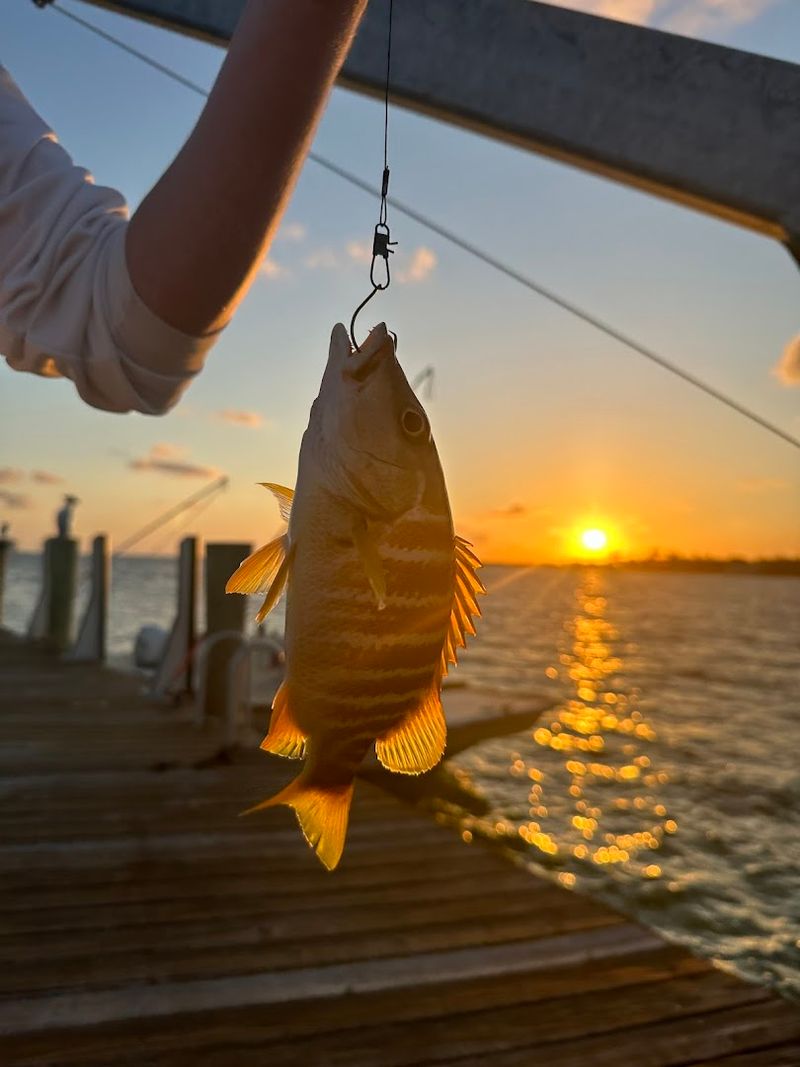 Fishing Off the Dock and Rocks
