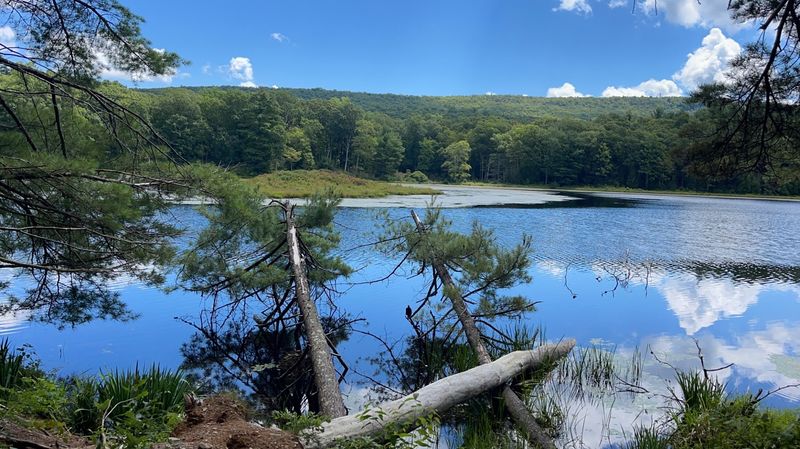 Stony Lake: The Glassy Centerpiece