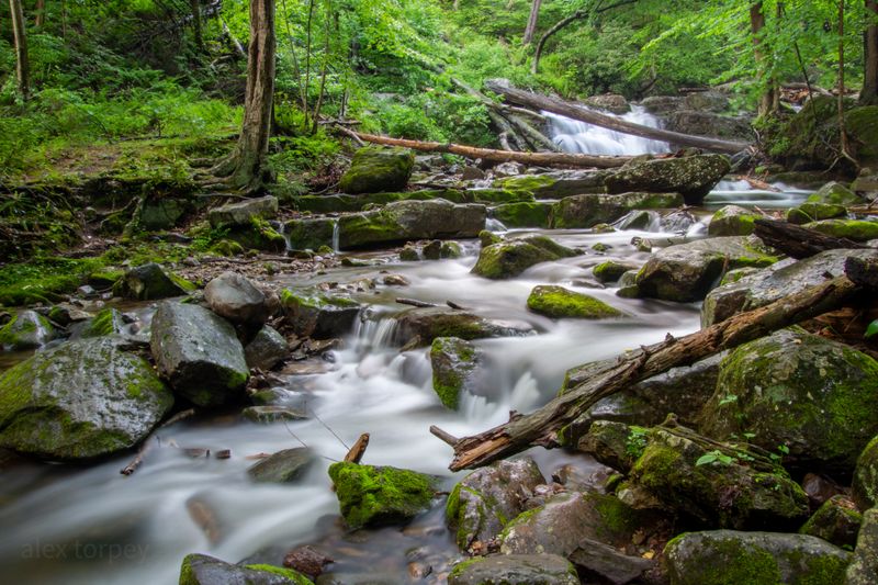 Creek Crossings And Trail Rhythm