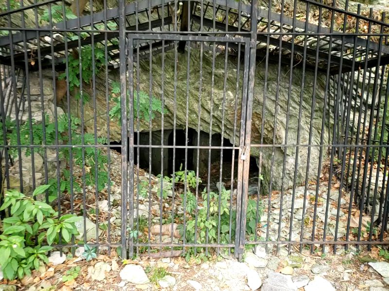 What Remains of the Spring