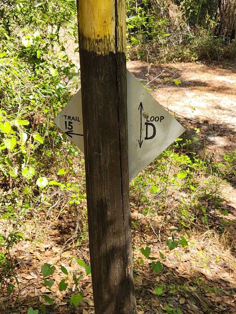 Navigation Confidence: Blazes, Loops, And Sanity Checks