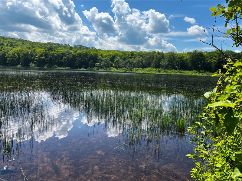 Quiet Moments and Crowd Dodging