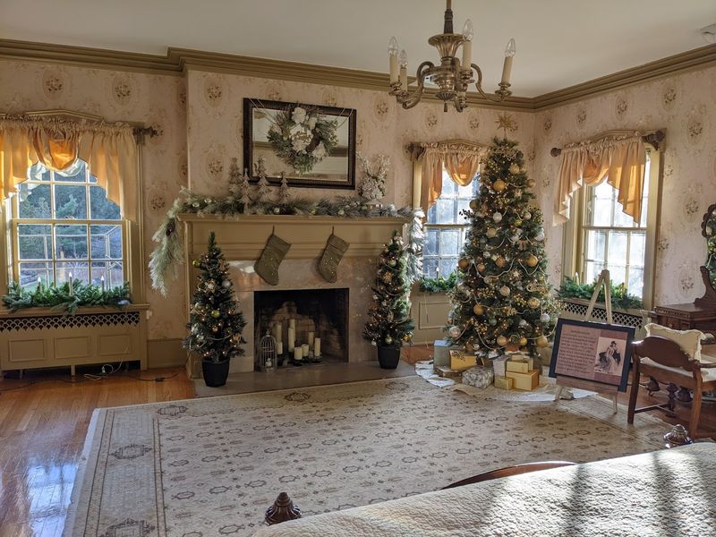 Holiday Glow and Seasonal Traditions