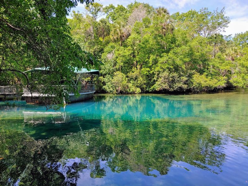 Homosassa Springs Wildlife State Park