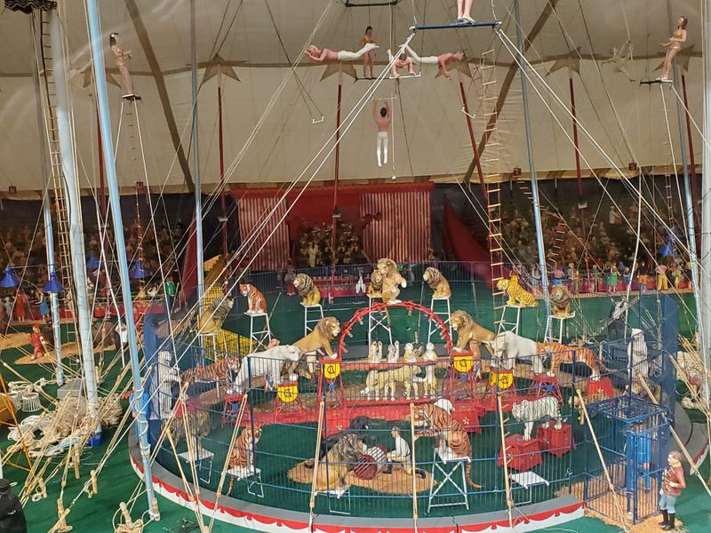 The Ringling Circus Museum - Sarasota