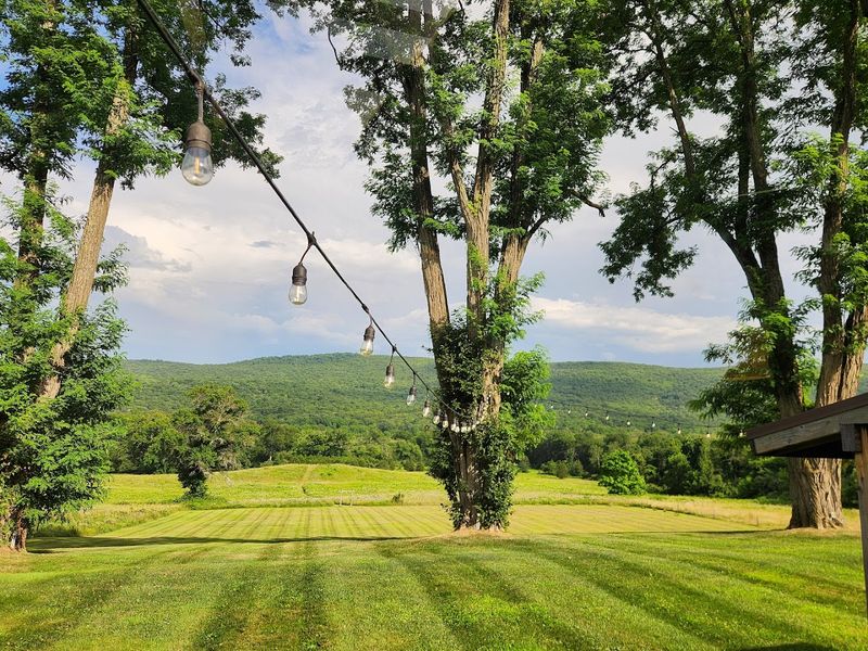 Why This Place Earns Its Reputation Year After Year