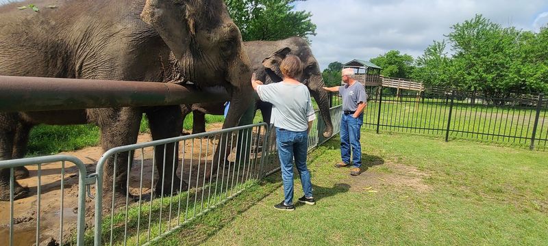 Final Thoughts: Why This Oklahoma Experience Belongs on Your List