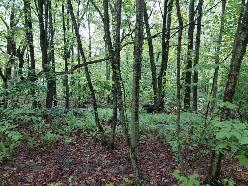 Safety, Weather, and Plan B