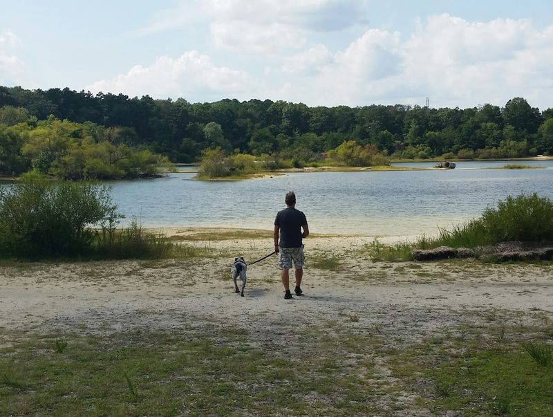 Bringing Your Dog Along for the Walk